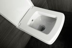 Aqualine, SOLUZIONE závěsná WC mísa s bidet. sprškou, 35x50,5cm, bílá, 10SZ02002 DL