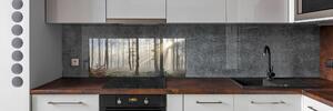 Dekorační panel sklo Mlha v lese pksh-98968412