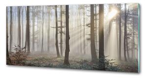 Dekorační panel sklo Mlha v lese pksh-98968412