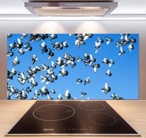Dekorační panel sklo Stádo holubů pksh-99282619