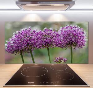 Panel do kuchyně Květ česneku pksh-99551256