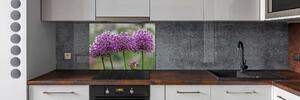Panel do kuchyně Květ česneku pksh-99551256
