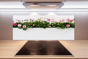 Panel do kuchyně Růžové sedmikrásky pksh-99649628