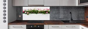 Panel do kuchyně Růžové sedmikrásky pksh-99649628