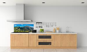 Panel do kuchyně Panorama Tater pksh-99701394