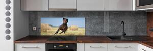 Panel do kuchyně Kůň ve cvalu pksh-99827163