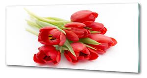 Panel do kuchyně Červené tulipány pksh-99817079