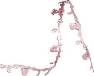 Stuha vysekávaná HELO GIRL růžová 10mm x 5m (15,- Kč/m)
