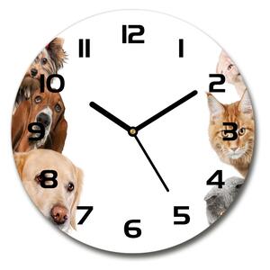 Skleněné hodiny kulaté Psi a kočky pl_zso_30_c-f_104206550