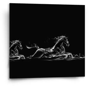 Sablio Obraz Vodní kůň - 50x50 cm