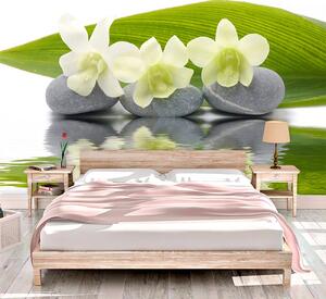 Sablio Tapeta Bílá orchidej - 125x75 cm