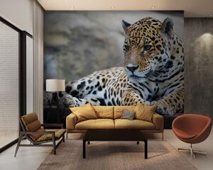 Fototapeta Leopard ležící na dřevěném povrchu, Fototapety s kočkami, Populární fototapety, u55313 - Tapeko.co.cz