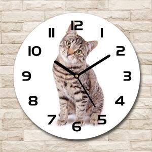 Skleněné nástěnné hodiny kulaté Kočka pl_zso_30_c-f_78018175
