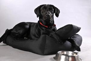 Vsepropejska Lux černý pelech pro psa Rozměr (cm): 55 x 45