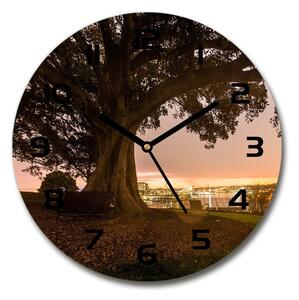 Skleněné hodiny na stěnu Starý strom pl_zso_30_c-f_90219521