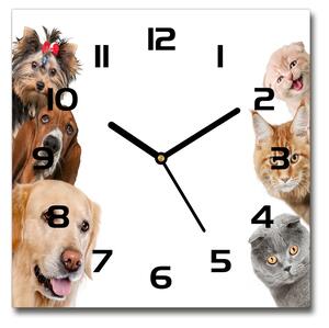 Skleněné hodiny čtverec Psi a kočky pl_zsk_30x30_c-f_104206550