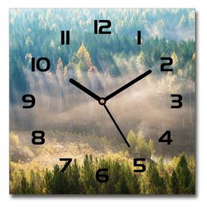 Skleněné hodiny čtverec Mlha v lese pl_zsk_30x30_c-f_104886541