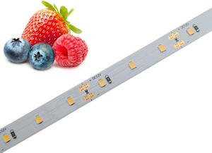 Potravinářský pásek: OVOCE, 5000-5500K, 12W/m, PROFI, 12V, IP20, 60LED/m, SMD2835, záruka 5 let