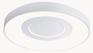 Stmívatelné stropní LED svítidlo Halyna