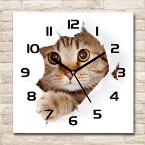 Skleněné nástěnné hodiny čtverec Kočka pl_zsk_30x30_c-f_35664648