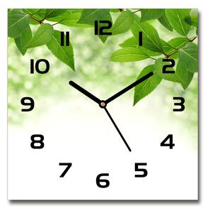 Skleněné hodiny čtverec Zelená listí pl_zsk_30x30_c-f_51811576