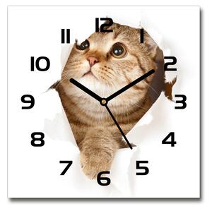 Skleněné nástěnné hodiny čtverec Kočka pl_zsk_30x30_c-f_52539481