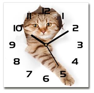 Skleněné nástěnné hodiny čtverec Kočka pl_zsk_30x30_c-f_52539512