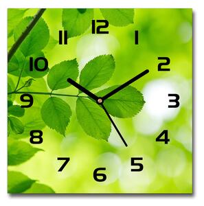 Skleněné hodiny čtverec Zelená listí pl_zsk_30x30_c-f_72665242