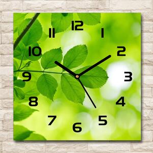 Skleněné hodiny čtverec Zelená listí pl_zsk_30x30_c-f_72665242