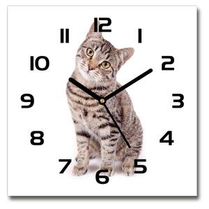 Skleněné nástěnné hodiny čtverec Kočka pl_zsk_30x30_c-f_78018175