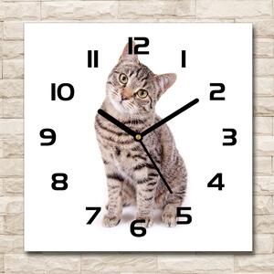 Skleněné nástěnné hodiny čtverec Kočka pl_zsk_30x30_c-f_78018175
