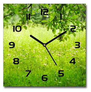 Skleněné hodiny na stěnu Zelená louka pl_zsk_30x30_c-f_78819198