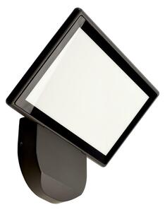 Deko-Light nástěnné přisazené svítidlo Alkes L 220-240V AC/50-60Hz 36,00 W 3000 K 1720 lm 297 tmavěšedá 731140