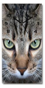 Moderní hodiny nástěnné Oči kočky pl_zsp_30x60_c-f_114220094