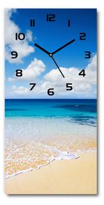 Nástěnné hodiny tiché Tropická pláž pl_zsp_30x60_c-f_11574570