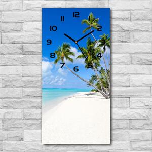 Nástěnné hodiny tiché Tropická pláž pl_zsp_30x60_c-f_116010752