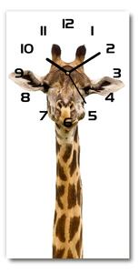 Moderní hodiny nástěnné Žirafa pl_zsp_30x60_c-f_53003309