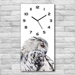 Moderní hodiny nástěnné Bílá sova pl_zsp_30x60_c-f_65272565