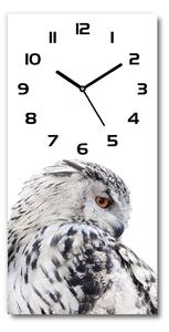 Moderní hodiny nástěnné Bílá sova pl_zsp_30x60_c-f_65272565