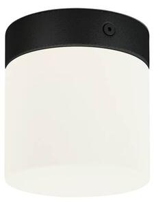 Stropní osvětlení do koupelny CAYO, 1xG9, 25W, černé, bílé