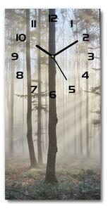 Nástěnné skleněné hodiny Mlha v lese pl_zsp_30x60_c-f_98968412