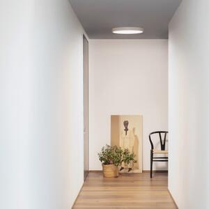 Ideal Lux 327563 RAY stropní svítidlo LED D300mm 13W 2000/1270-1340lm 3000-4000K IP44 černá