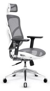 Ergonomická židle DIABLO V-BASIC: bílo-šedá |