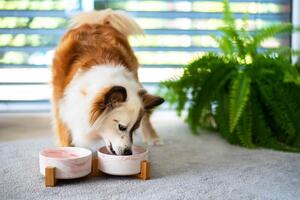 Vsepropejska Garbo dvojitá mramorová keramická miska pro psa či kočku Barva: Růžová, Rozměr (cm): 12