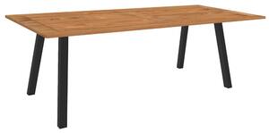 Stern Jídelní stůl Interno, Stern, obdélníkový 220x100x75 cm, profil nohou čtvercový, rám šedočerný (anthracite), deska teak