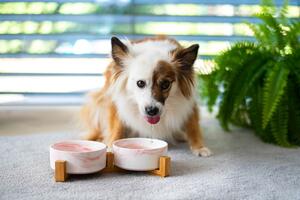 Vsepropejska Garbo dvojitá mramorová keramická miska pro psa či kočku Barva: Růžová, Rozměr (cm): 12