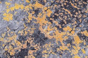 Makro Abra Kusový koberec pratelný VICTORIA 21061 pogumovaný šedý žlutý Rozměr: 120x170 cm