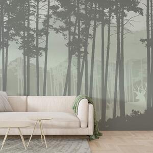 Fototapeta Skupina stromů v lese, Přírodní fototapety, Populární fototapety, t00081v1 - Tapeko.co.cz