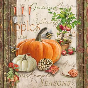 Ubrousky Pumpkin season 3400190