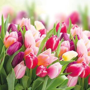 Ubrousky Tulipány 3400055